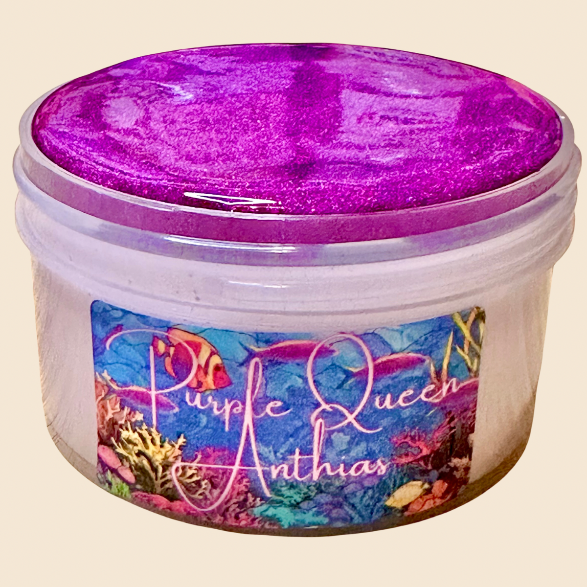Purple Queen Anthias